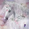 fredabaird811 - @fredabaird811 - TikTok