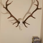 Freddie Bates - Facebook
