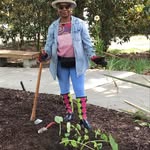 Freda Bee - @2sucseed - Instagram