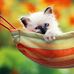 Freda Benedict - Facebook