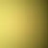 Tenday568 - @fredablack674 - TikTok