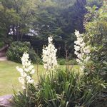 Freda Blevins - @freda.blevins.357 - Instagram