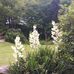 Freda Blevins - Facebook