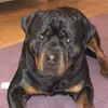 Fred Bloggs - @fred.bloggs8 - TikTok
