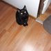Freda Boggs Boggs - Facebook