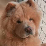 @fred_abranches16 - Instagram