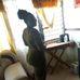Freda Brown - Facebook