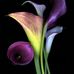 Freda Bryan - Facebook
