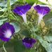 Freda Bryson - Facebook