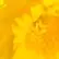 Fred Caudill - @fred.caudill - TikTok