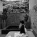 Cheng  Freda - Facebook