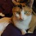 Freda Cheng - Facebook
