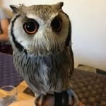Freda Cheng - @freda_cheng116 - Instagram