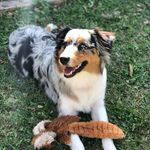 Freda Clark - @arigreychai211 - Instagram