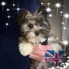 Freda Clark - @freda.clark - TikTok