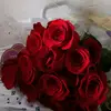 fredaclark125 - @fredaclark125 - TikTok