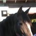 Freda Collins - Facebook