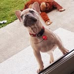 johnny connors - @fredaconnors123 - Instagram
