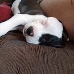 Freda Cordes - @cordesfreda - Instagram