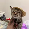 fredacosta1521ruizff - @fredacosta1521ruizff - TikTok