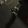 fredcouch - @fredcouch123 - TikTok