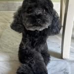 Freda Cox - @tohamitouze - Instagram