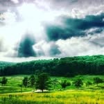 Freda Crane - @j810apvk9rvqj - Instagram