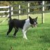 Freddie Crowe - Facebook