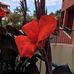 Freda Cunningham - Facebook