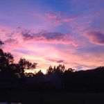 Freda Davidson - @fredadav1 - Instagram