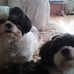 Freda Davies - Facebook