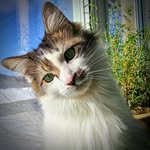 Freda Dedecker - @fredadedecker - Instagram