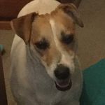 Freddie Delaney - @freddie.delaney435 - Instagram