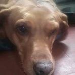 Freda Dewar - Facebook