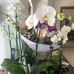 Freda Diamond - Facebook