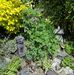 Freda Dillon - Facebook