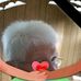 Freda Doss - Facebook