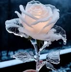 Freda Douglas - Facebook