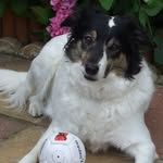 Freda DOUGLAS - @fredadouglas745 - Instagram