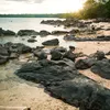 Fred Duffy - @fred.duffy - TikTok