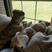 Freda Dukes - Facebook