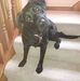 Freda Duncan - Facebook