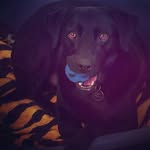 Freda Evans - @freda_evans_ - Instagram