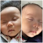 Baby Freda and Farrell - @twosday_burrito - Instagram