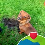 Freda Farrelly - Facebook
