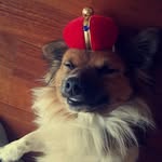 Freddie Fitzgerald - @freddiefitzgerald - Instagram