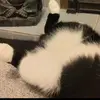 fred and frank - @fredandfrankfanclub - TikTok