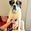 FredandGilbertVlogs - @fredandgilbertvlo - TikTok