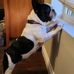 @freda_harper_gonzalez_ - Instagram