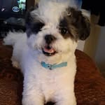 Freda Harvey - @fredaharvey173 - Instagram